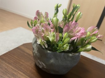 IMG_4605-e1745479990900